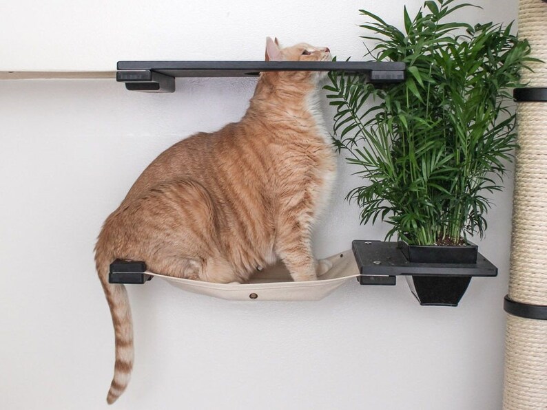 Gardens Cat Condo Cat Furniture Cat Wall Furniture Cat Etsy