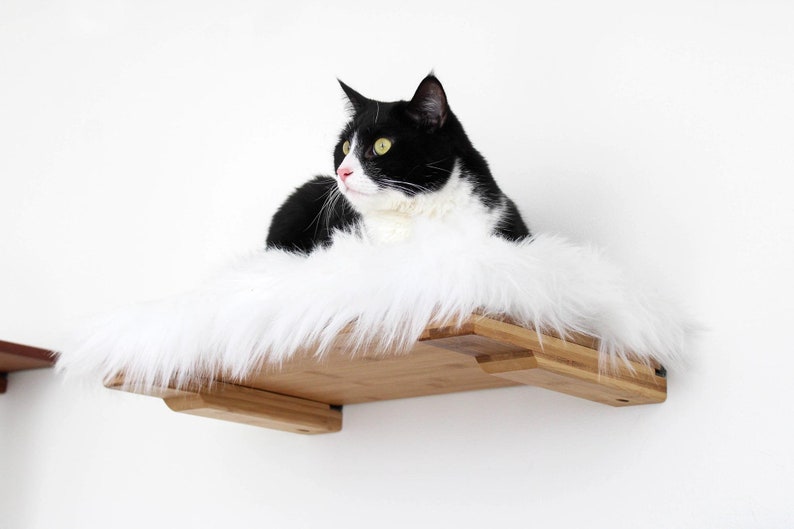 Cat Shelf With Plush Bed 18 Cat Shelf Cat Wall Mounted Shelf Cat Shelves Cat Climb Cat Home Activity Cat Bed Catastrophic Creations Natural/Cream Bed