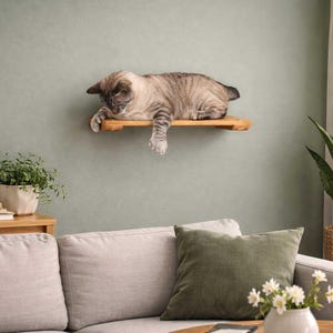 18” Cat Shelf - Wall Mounted Cat Shelf, Modern Cat Wall Furniture, Cat Climbing & Resting Shelf