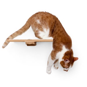Fabric Cat Shelf - 12-Inch - Cat Wall Mounted Step Shelf Cat Furniture Cat Shelves Cat Tree Cat Indoor Activity Toy | Catastrophic Creations