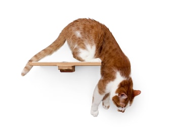 Stoff-Katzenregal - 12-Zoll-Katzenwand befestigtes Stufenregal Katzenmöbel-Katzenregale Kratzbaumkatze Indoor-Aktivität Spielzeug | Katastrophale Kreationen