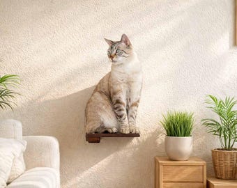 Cat Climbing Shelf with Cork Traction Pad, Wall Mounted Cat Step, Non-Slip Cat Wall Furniture, Cat Climb Shelf, Modern Cat Playground