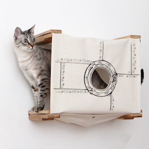 Cat Wall Cubby, Cat Wall Furniture, Cat House, Cat Condo, Cat Cubby, Cat Shelves, Cat Tree, Cat Furniture, Cat Bed, Cat Shelf, Cat Tower