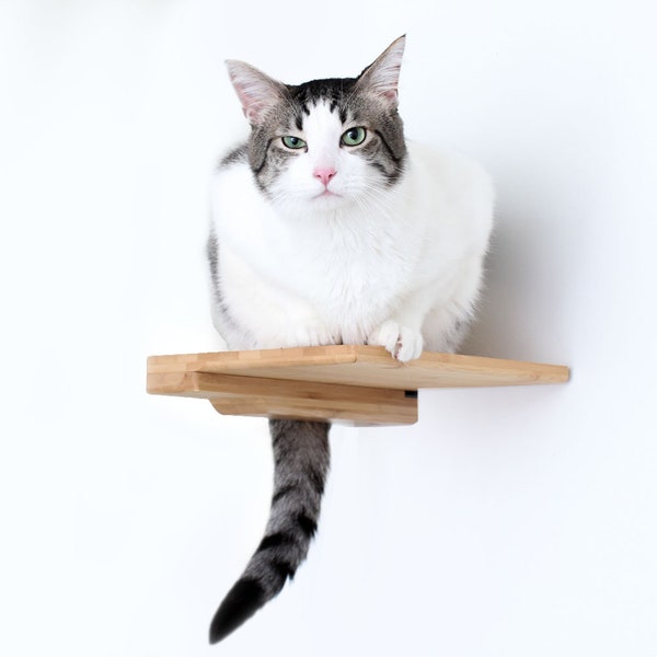 Cat Climbing Shelf - 9-Inch Wall Mounted Cat Furniture Cat Perch Cat Hammock Cat Climb Cat Play Furniture Cat Bed | Catastrophic Creations
