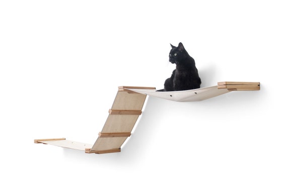 cat play shelves