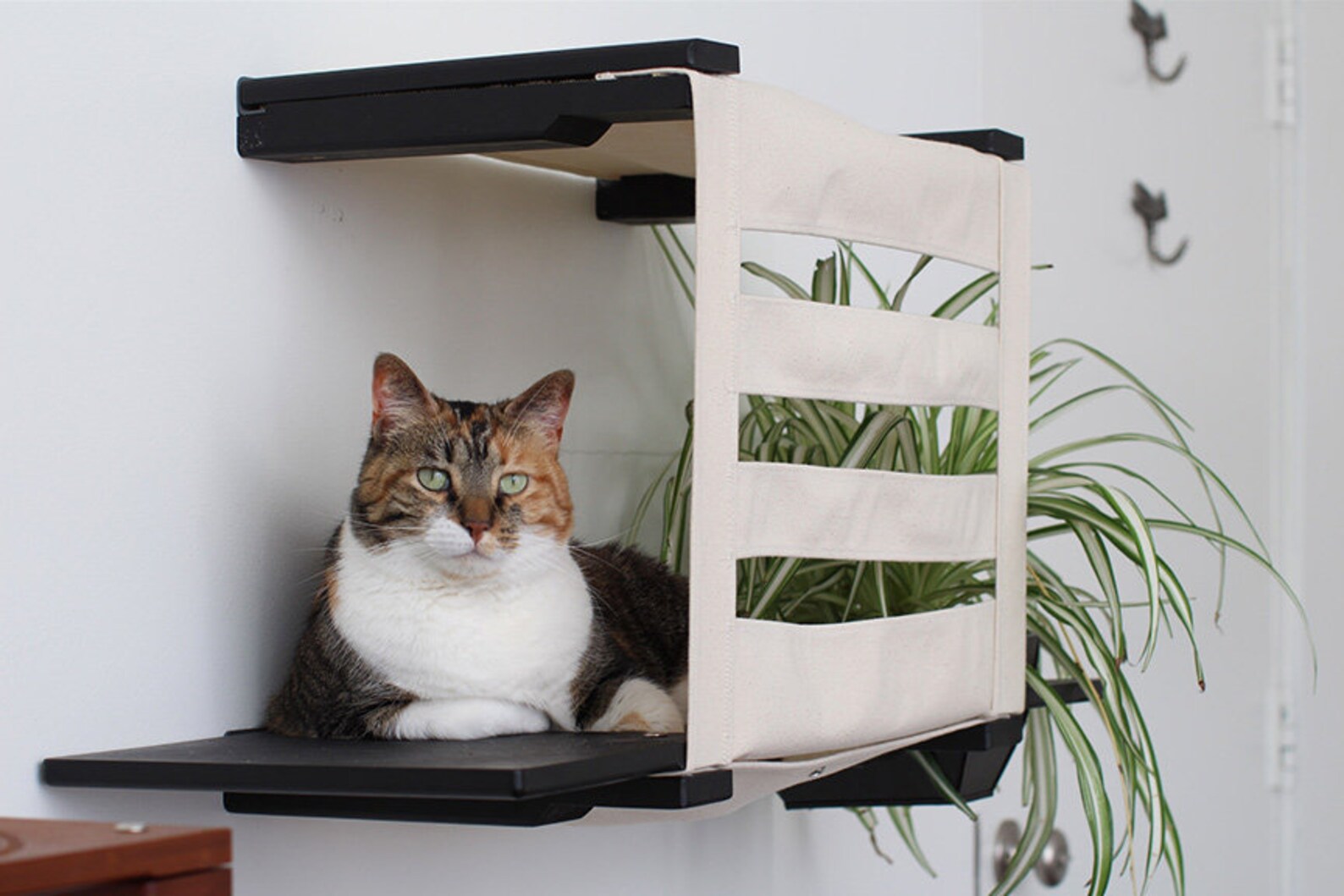 Deluxe Cat Cubby Planter or Cat Cubby Feeder Cat Furniture Cat Etsy