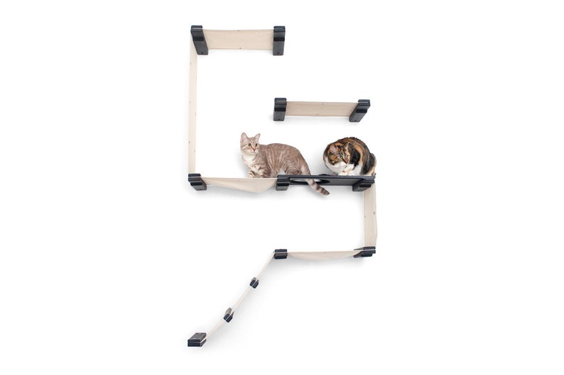 Cat Fort Cat Hammock Modern Cat Furniture Cat Shelves Cat Shelf Cat Tree Cat Bridge Cat Activity Gym Cat Climbing Catastrophic Creations image 1