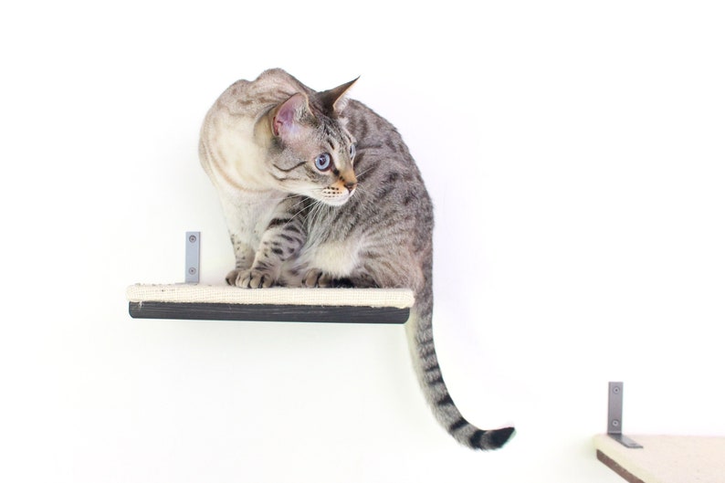 12 Burlap-Covered Cat Shelf