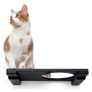 Cat Escape Hatch Shelf - 18-Inch Cat Wall Mounted Shelf Cat Shelves Cat Bed Cat Wood Furniture Cat Indoor Play | Catastrophic Creations