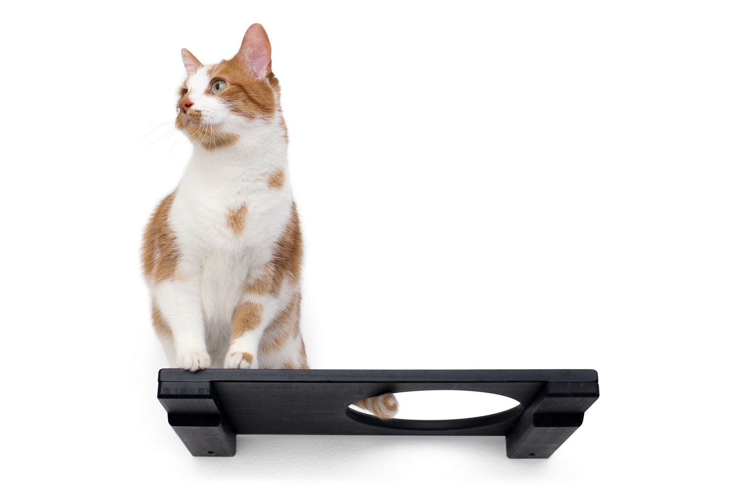 Bamboo Cat Escape Hatch Shelf 18" - Modern Wall Mounted Shelf, Furniture