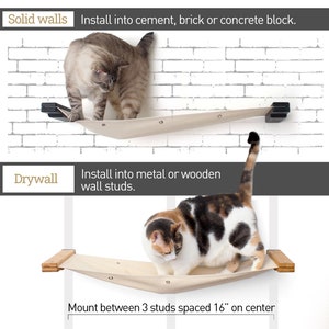 Cat Hammock Cat Bed Cat Furniture Cat Shelves Cat Shelf Cat Hammock Cat Tower Cat Wall Bed Cat Tree Cat Fun Catastrophic Creations image 2