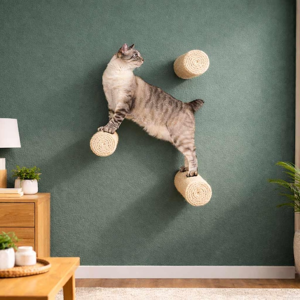 Schwimmende Sisal Katzenkratzbaum Stufe - An der Wand befestigte Katzenkletterstange, Katzenwandmöbel, Moderne Kratzbaumalternative