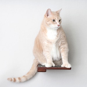 Cat Climbing Shelf+Cork Traction Pad - Wall Mounted Cat Furniture Cat Step Cat Hammock Cat Climb Cat Play Furniture | Catastrophic Creations