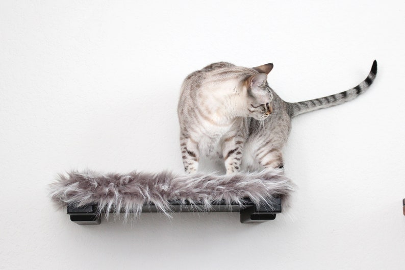 Cat Shelf With Plush Bed 18 Cat Shelf Cat Wall Mounted Shelf Cat Shelves Cat Climb Cat Home Activity Cat Bed Catastrophic Creations Onyx/Grey Bed