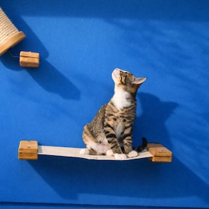 Modern Wall Mounted Cat Hammock Bed - Floating Cat Shelf, Designer Cat Wall Furniture, Cat Wall Bed