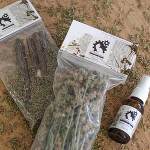 Catnip Bundle for Cat, Catnip Bud, Cat Treat, Cat Gift, Catnip Spray, Cat Nip Sticks, Cat Lovers Cat Gift, Cat Gifts for Cats, Cat Nip, Cat