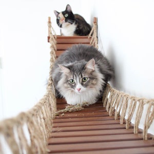 Cat Bridge Wall Mounted Cat Furniture Cat Sleep Cat Bed Cat Shelves Cat Shelf Cat Hammock Cat Play Cat Tree Catastrophic Creations image 10