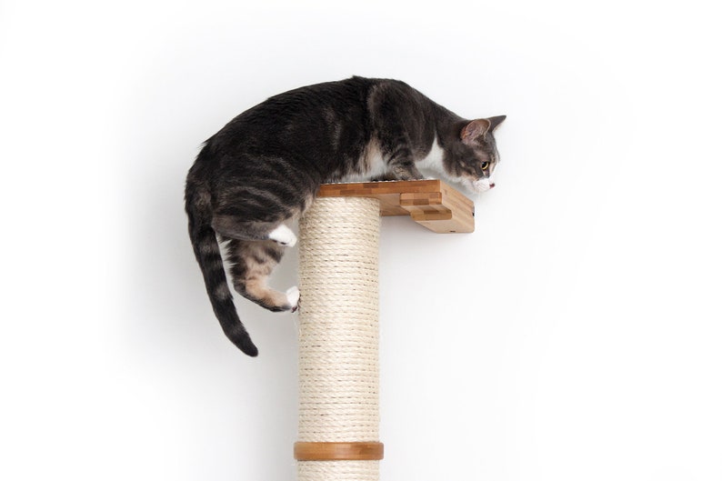 Cat Scratching Pole Cat Furniture Wall Mounted Cat Sisal Pole Cat Climbing Cat Scratching Furniture Cat Scratcher Catastrophic Creations image 4