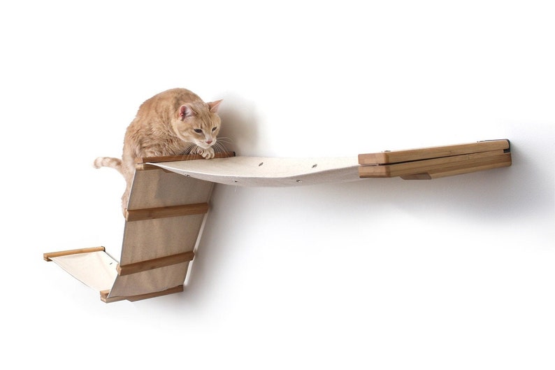 Deluxe Large Raceway Cat Wall Furniture Cat Shelves Cat Shelf Etsy