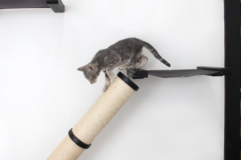 Cat Scratching Pole, Wall Mounted Cat Furniture, Angled Pole, Cat Wall Scratcher, Cat Scratching Furniture image 5