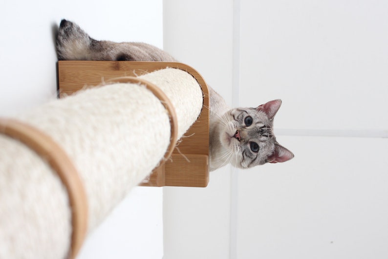 Cat Scratching Pole Cat Furniture Wall Mounted Cat Sisal Pole Cat Climbing Cat Scratching Furniture Cat Scratcher Catastrophic Creations image 5