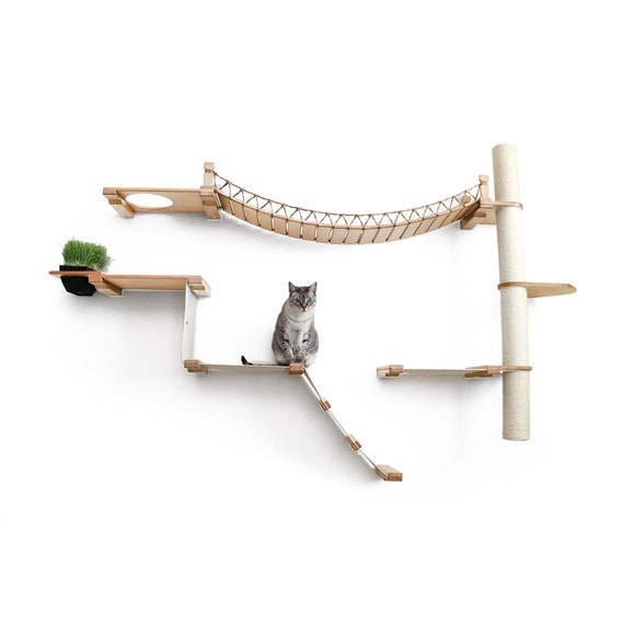 Cat towers 2025 with hammocks