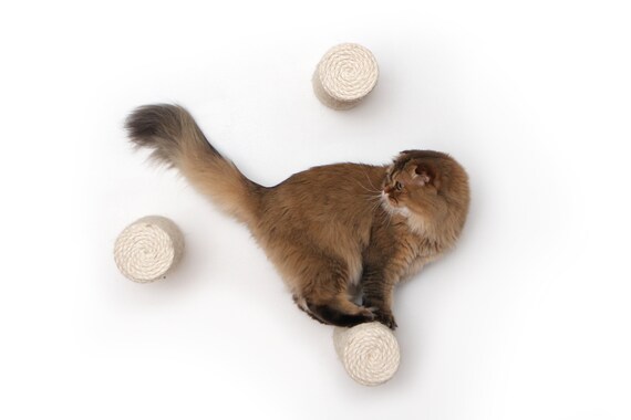 hammock cat scratcher