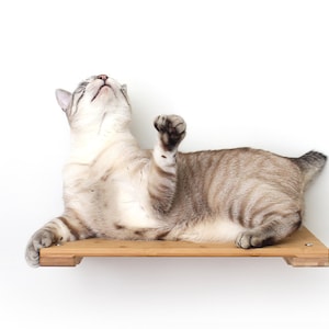 Estante para gatos de 18 pulgadas, estante de pared, estantes para gatos, muebles para gatos trepadores, estante de descanso para gatos, salón para gatos, juego para gatos / Catastrophic Creations