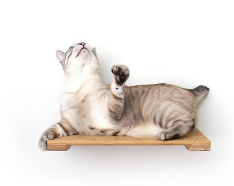 Katzenregal 18-Zoll-Wandregal Katzenregale Katzenklettern Katzenmöbel Katzenruheregal Katzenlounge Katzenspiel | Katastrophale Kreationen