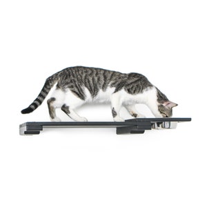 Feeder Shelf 25 Inch - Cat Feeder Cat Food Feeder Furniture Cat Feeder Shelves Cat Feeder Shelf Wall Mounted Feeder | Catastrophic Creations