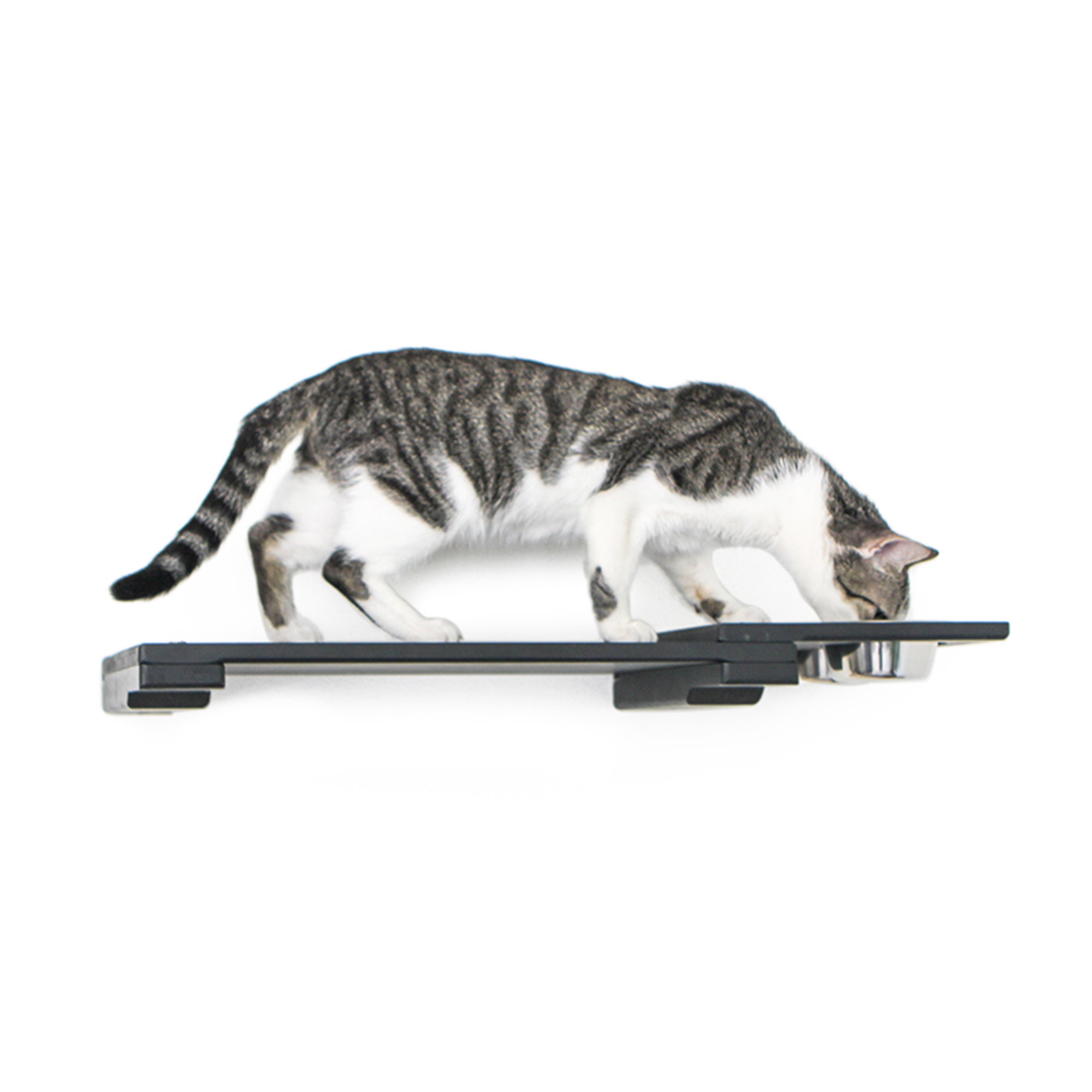 Wall Mounted Cat Feeder Shelf 25" - Elevated Food Station, Modern Feeding Furniture, Space Saving Bowl