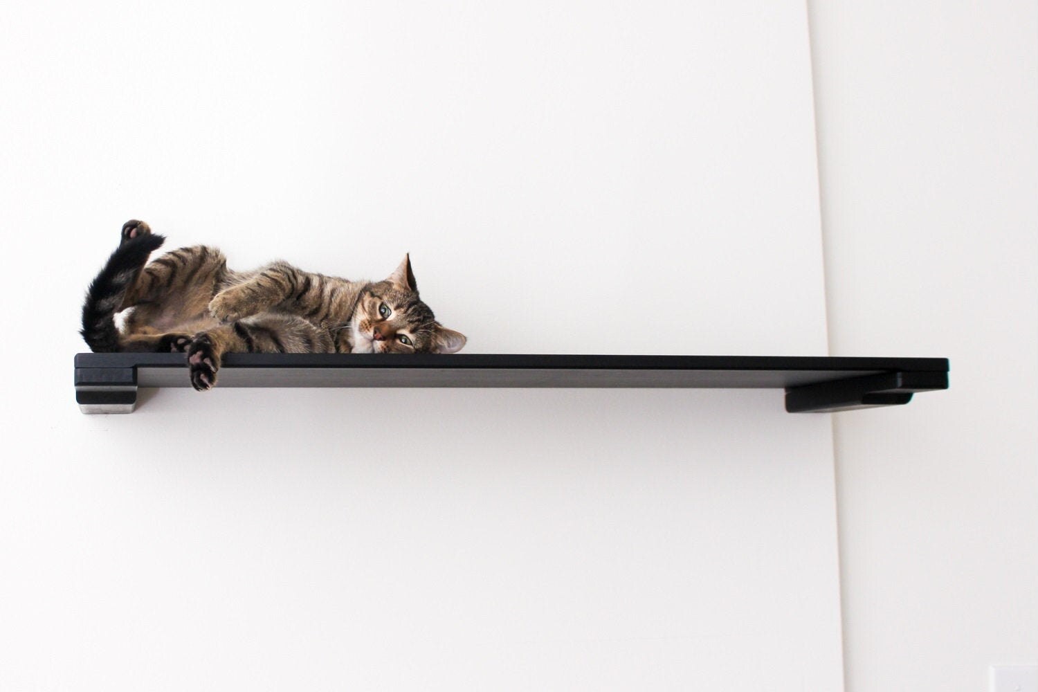 Cat Shelf 34in Cat Shelf Cat wall Mounted Shelf Cat Shelves Etsy