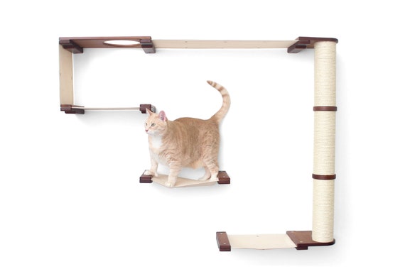 Cat condos top with hammocks