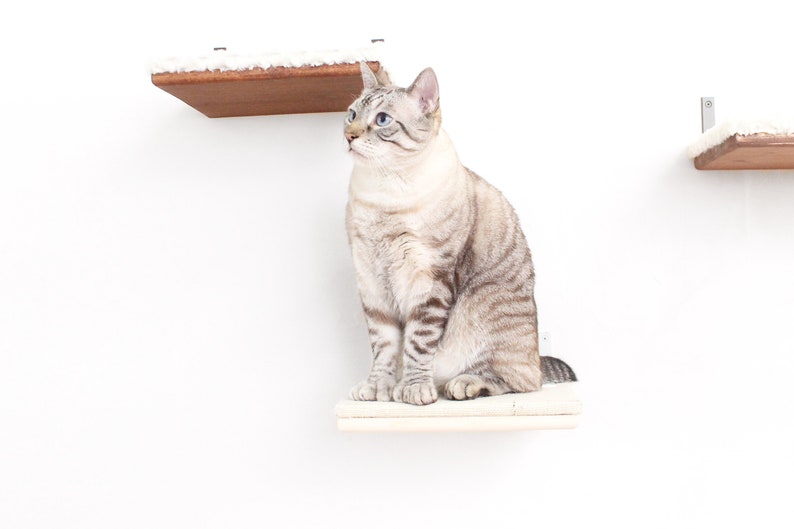 12 Burlap-Covered Cat Shelf