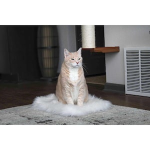 Cat Bed, Modern Cat Bed, Cat Bed Plush, Cat Condo, Cat Hammock, Cat Tree, Cat House, Cat Condo, Cat Scratcher, Cat Bed Furniture, Pet Bed