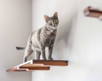 Katzenregal 34-Zoll-Wandmöbel Katzenregale Katzenklettern Katzenhängematte Katzenlounge Katzenspielzeug für Katzen zu Hause | Katastrophale Kreationen