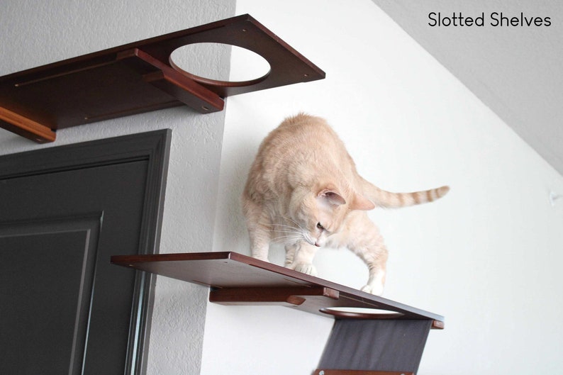 Cat Shelf, Cat Wall Furniture, Cat Escape Hatch Shelf, Wall Mounted Cat Shelf, Cat Shelves, Cat Wall Shelves, Cat Wall, Cat Tower, Cat Climb image 8