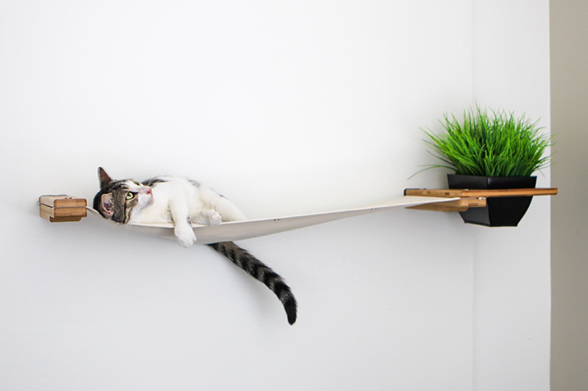 41" Wall Mounted Cat Hammock With Planter Shelf, Bed Modern Furniture