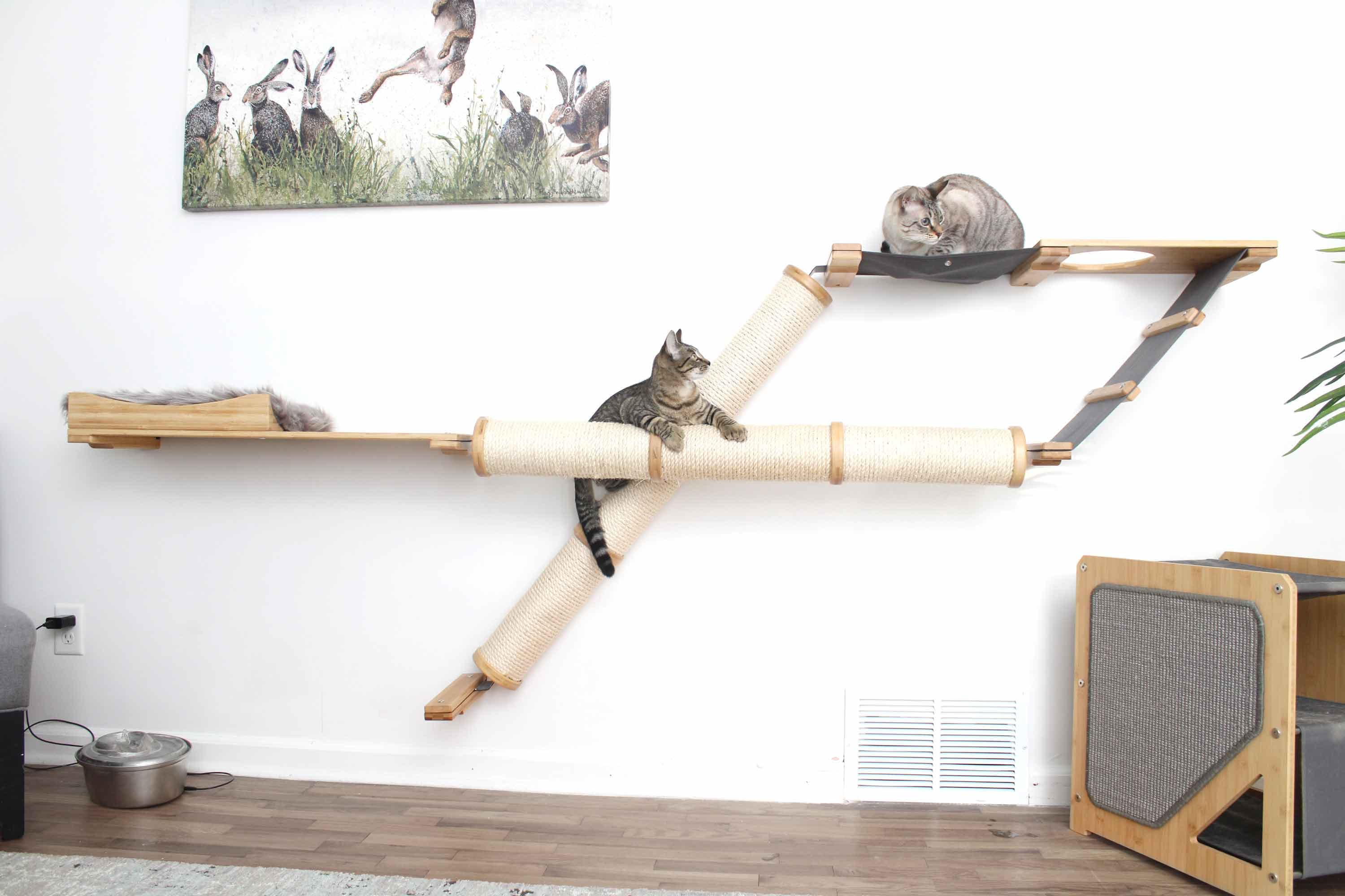 CatastrophiCreations Mini-Garden - Multiple-Level Cat Hammock & Climbing Ac CatastrophiCreations Mini Garden - Multiple-Level Cat Hammock