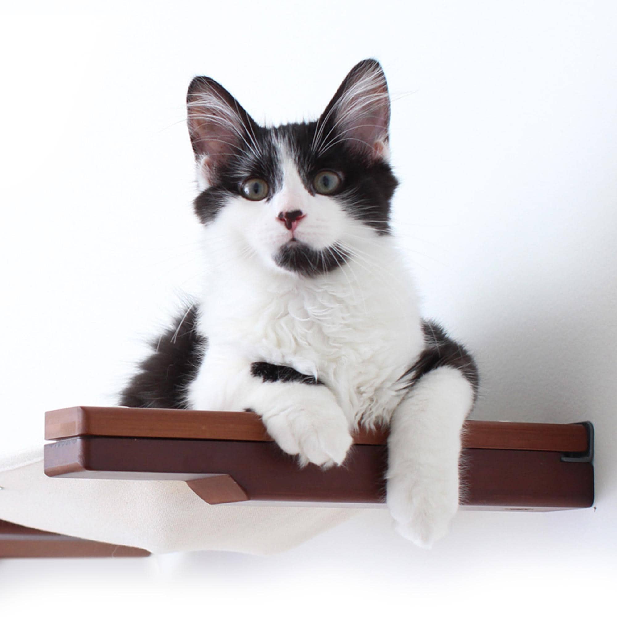 24-Inch Bamboo Cat Lounge - Wall Mounted Bed, Hammock, Tree Alternative
