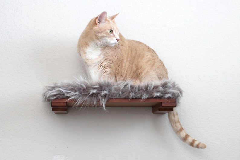 Cat Shelf With Plush Bed 18 Cat Shelf Cat Wall Mounted Shelf Cat Shelves Cat Climb Cat Home Activity Cat Bed Catastrophic Creations image 1