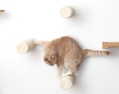 Floating Sisal Post Step - Cat Furniture Cat Gift Cat Hammock Cat Scratching Cat Scratcher Cat Play Cat Toy Cat Gym | Catastrophic Creations
