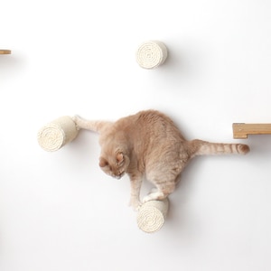 Floating Sisal Post Step - Cat Furniture Cat Gift Cat Hammock Cat Scratching Cat Scratcher Cat Play Cat Toy Cat Gym | Catastrophic Creations