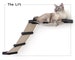 Cat Lift - Cat Furniture Cat Shelves Cat Shelf Cat Hammock Cat Tower Cat Bridge Cat Love Cat Climb Cat Toy Cat Play | Catastrophic Creations