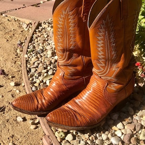 Könnte beinhalten: Ein Paar braune Cowboy-Stiefel aus Leder mit aufwendigen Nähten und einem Schlangenhautmuster. Die Stiefel haben eine spitze Zehenpartie und einen hohen Absatz.