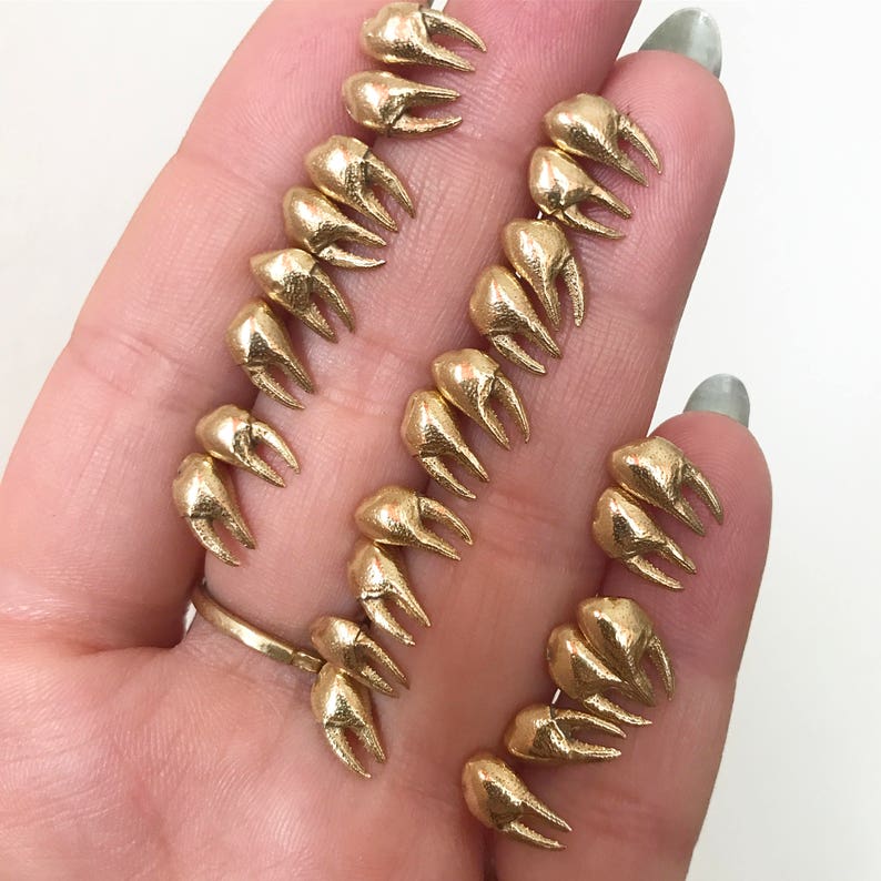 Crab Claw Earrings Stud Earrings Unisex Earrings Brass Etsy