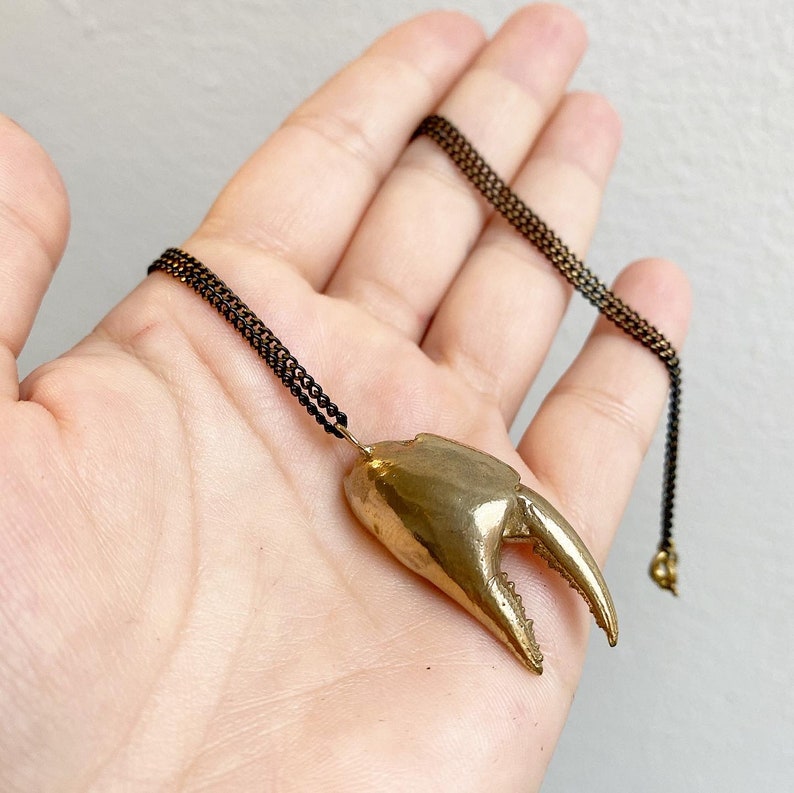 Large Crab Claw Necklace Bronze Crab Claw Pendant Necklace Etsy UK