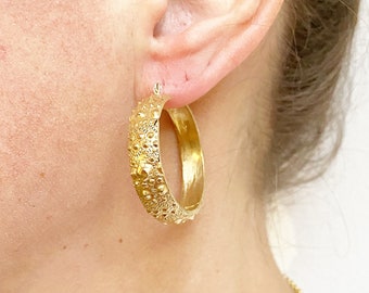REAL Sea Urchin Hoop Earrings ~ Thick Gold Hoop Earrings ~ Hoop Earrings ~ Sterling Silver Post Earrings ~ Nautical Hoops