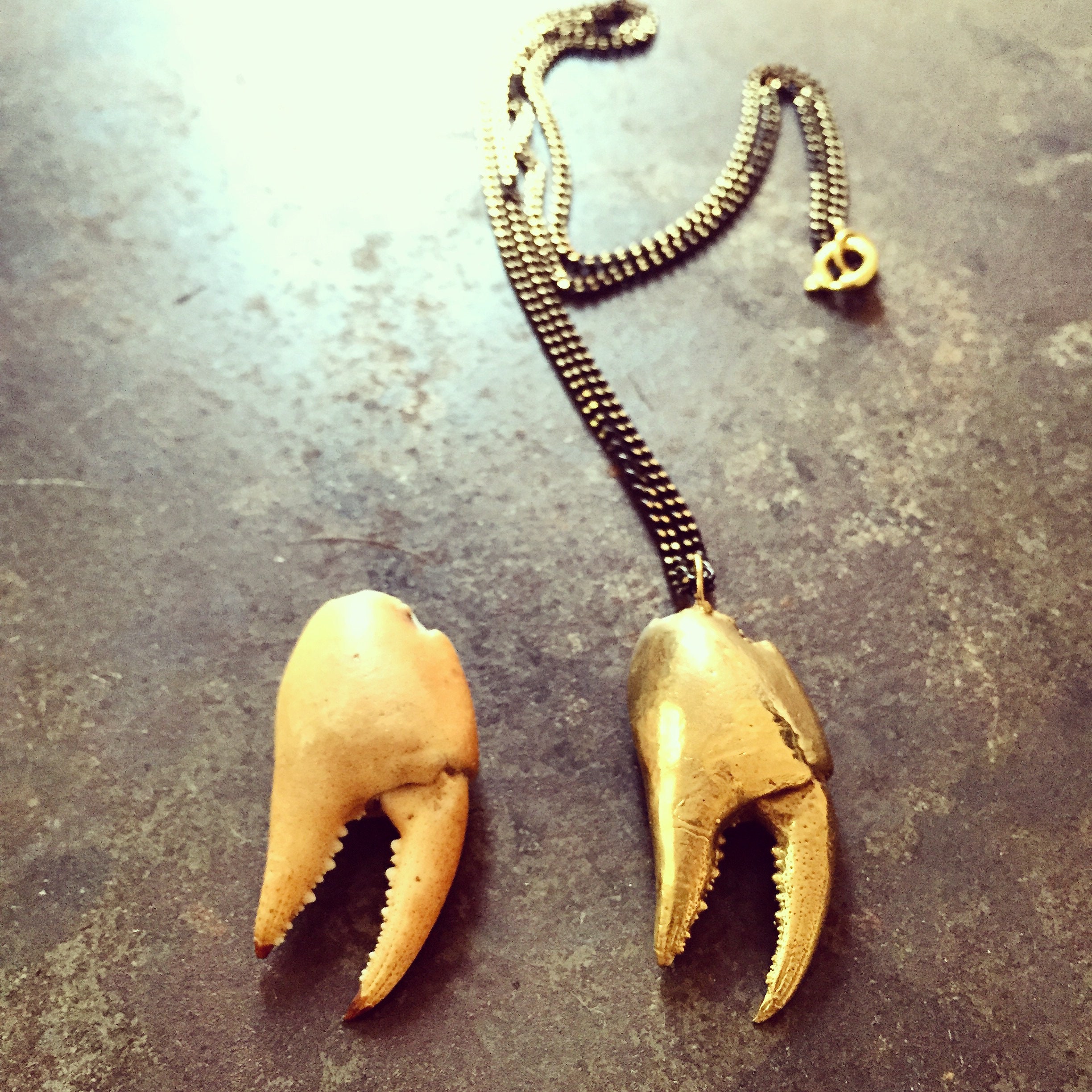 Large Crab Claw Necklace Bronze Crab Claw Pendant Necklace Etsy