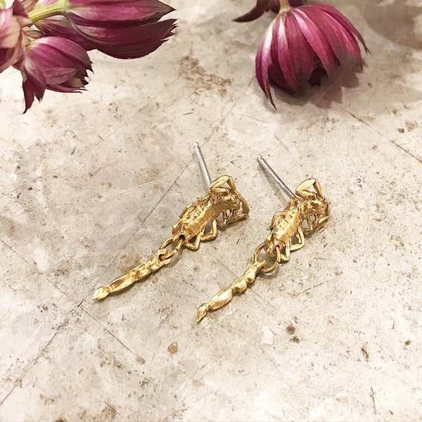 Tiny Scorpion Earrings ~ Real Scorpion Earrings ~  Stud Earrings ~ Dainty Earrings ~ Scorpion Cast Earrings